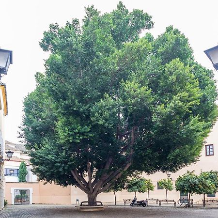 Alohamundi Escuelas Pias 塞维利亚 外观 照片
