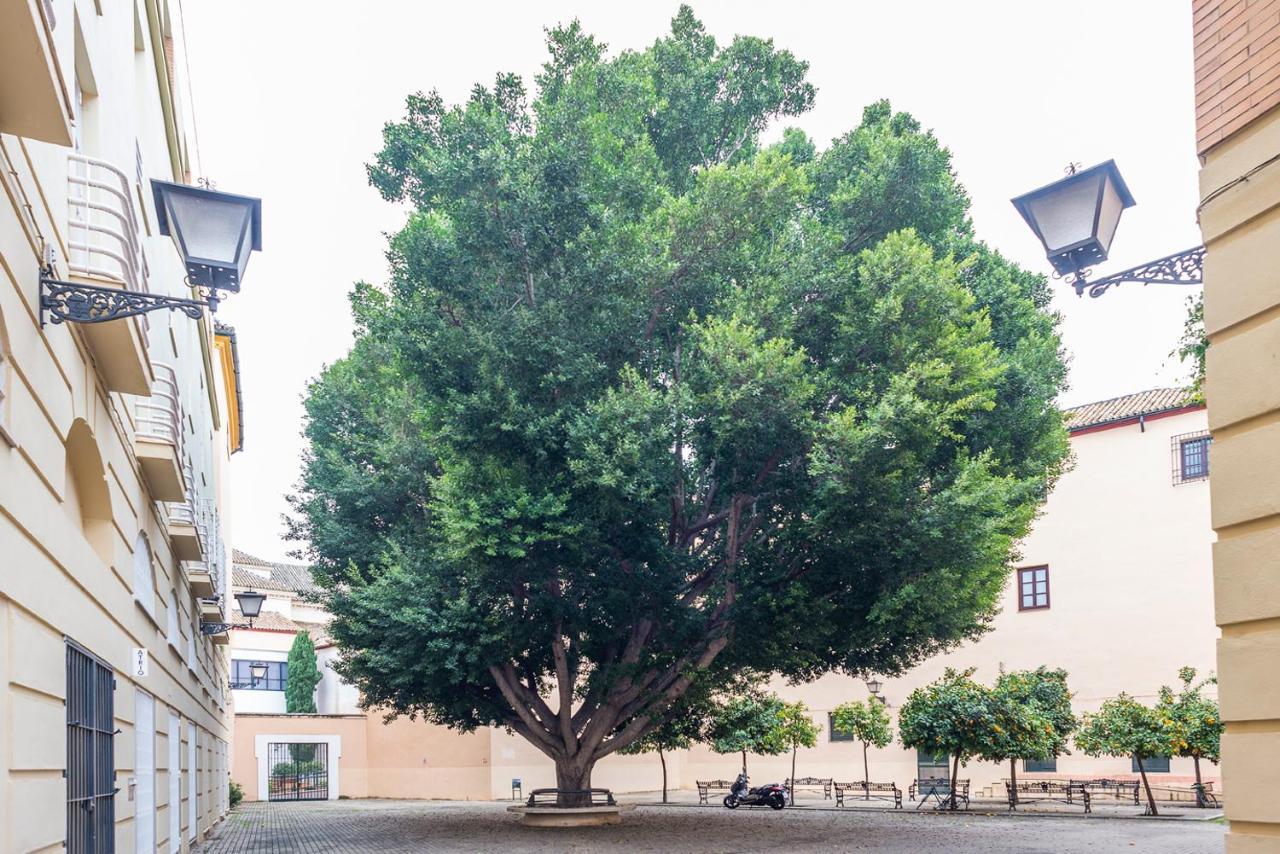 Alohamundi Escuelas Pias 塞维利亚 外观 照片